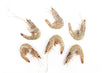 White Shrimp Small (~1 lb)