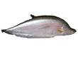 Whole Chital fish (~4.5 lb)