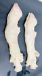 Goat Feet (~2 lb)