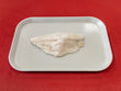 Catfish Fillets (~1 lb)