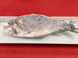 Whole Katla fish (~5 lb)