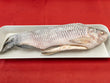 Whole Rohu Fish (~5 lbs)