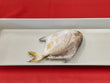 Whole Silver Pomfret Fish (~1 lb)