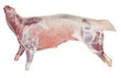 Whole Baby Goat (~22 lb)