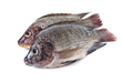 Whole Tilapia Fish (~2 lbs)